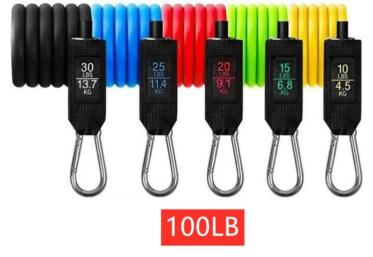 WHATAFIT Portable At-Home Resistance Training Kit