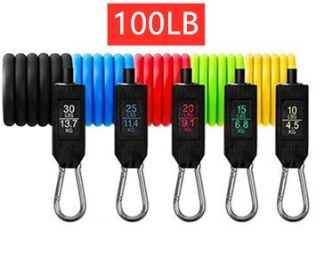 WHATAFIT Portable At-Home Resistance Training Kit