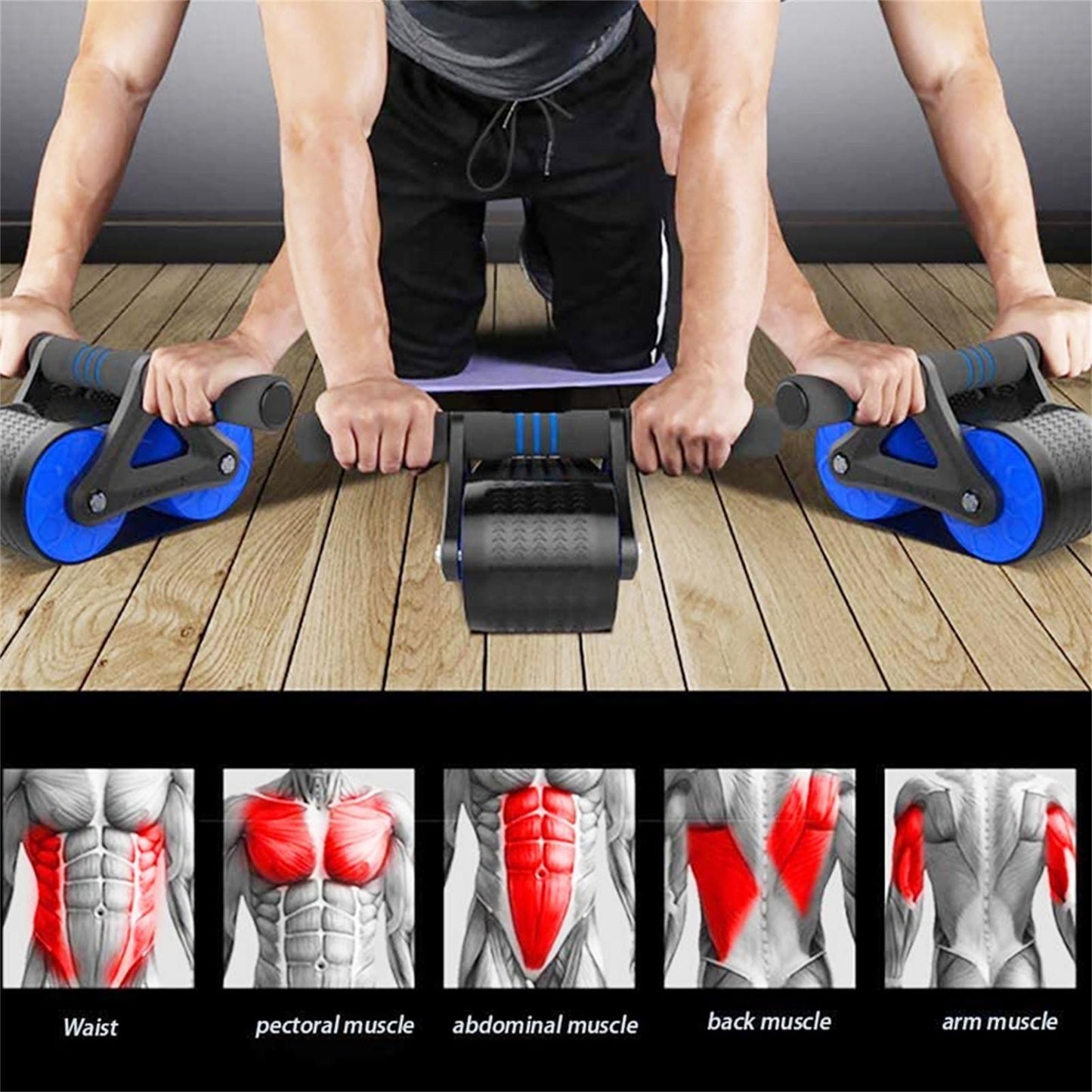 High-Grade Abs Roller
